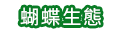 亞泥生態園區蝴蝶生態