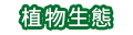 亞泥生態園區植物生態