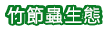 亞泥生態園區竹節蟲生態
